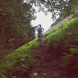 Full length of woman walking in forest