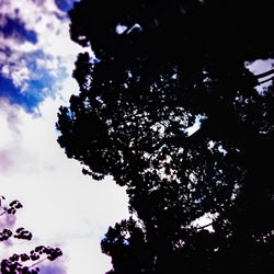 Low angle view of trees against sky