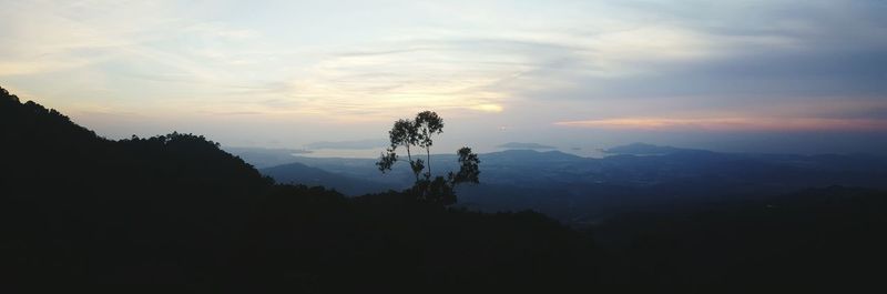 Silhouette tree against sky at sunset