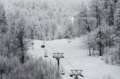 Snow covered land and trees on field