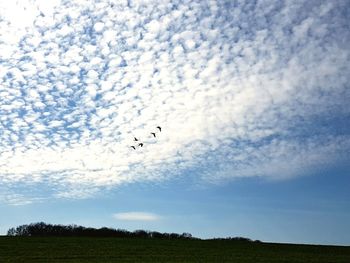 Low angle view of airplane flying against sky