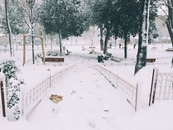Snow covered land and trees on field