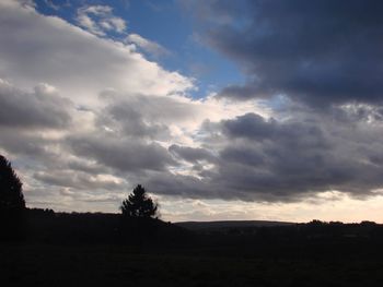 Silhouette trees on field against sky during sunset