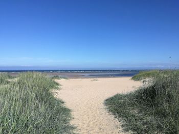 Scenic view of beach against blue sky