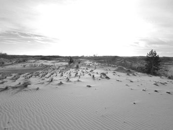 People on beach against sky