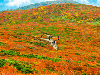 Scenic view of mountain during autumn