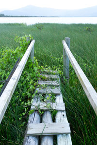 High angle view of bridge