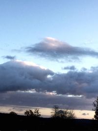 Low angle view of silhouette trees against sky