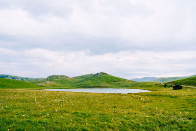 Scenic view of field against sky