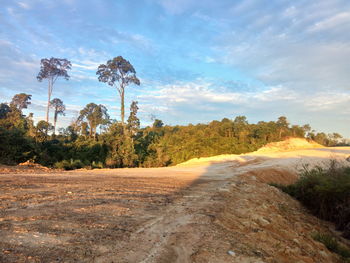 Road amidst trees on field against sky