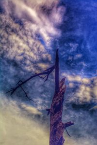 Low angle view of silhouette tree against sky