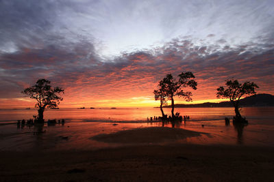 Silhouette trees on beach against sky during sunset