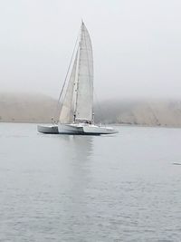 Sailboat sailing on sea against sky