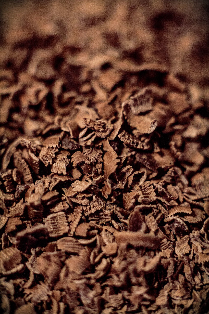 CLOSE-UP OF BREAD ON GROUND