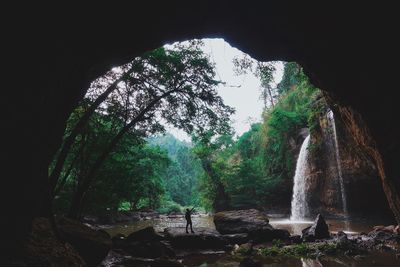 Scenic view of waterfall in forest