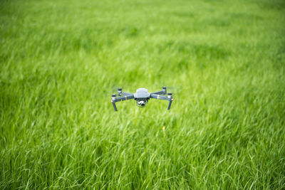 Drone hovering above field