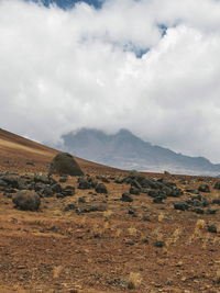 Highland desert at mount kilimanjaro, tanzania