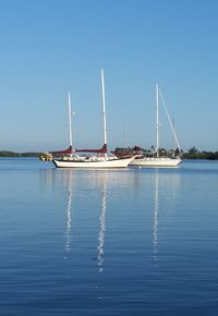 Three sailboats moored in bay 