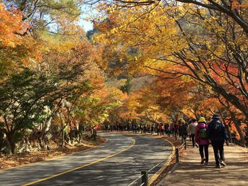 People walking on amidst trees during autumn