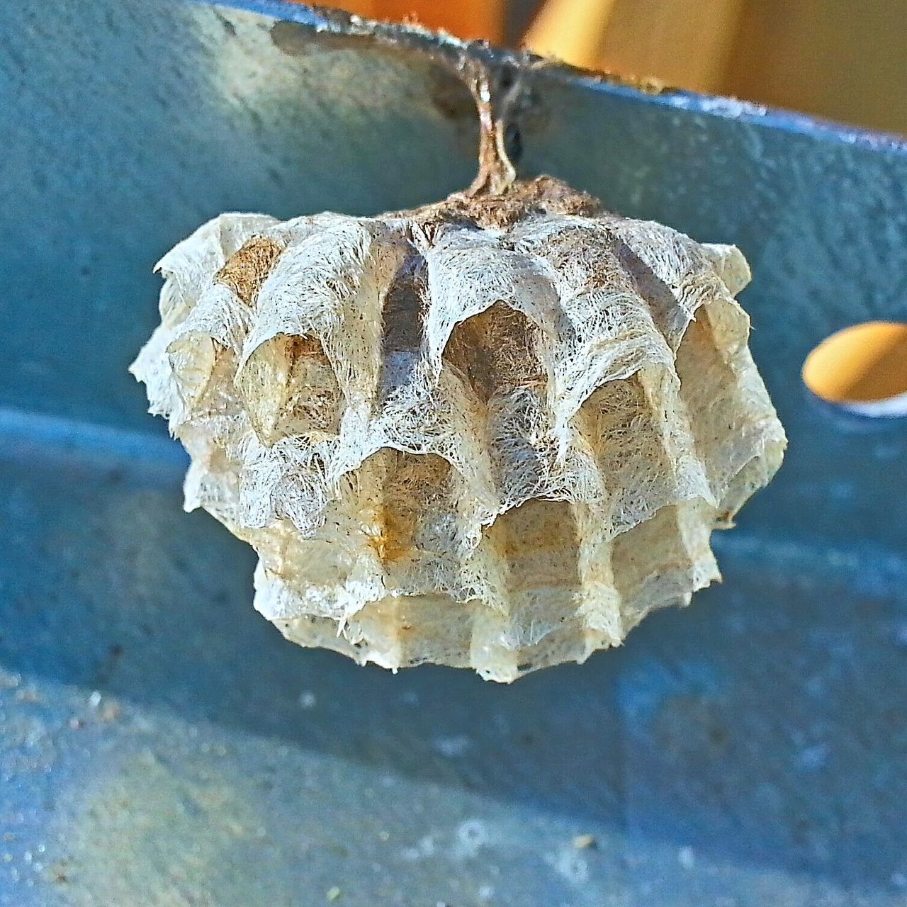 CLOSE-UP OF ICE CREAM