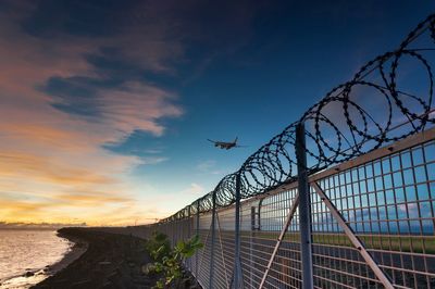 Birds flying over sea against sky