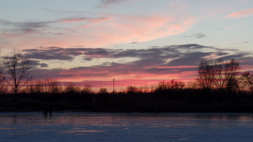 Silhouette of trees during sunset