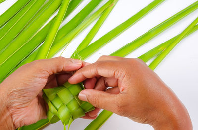 Cropped hands making leaf decoration on white background