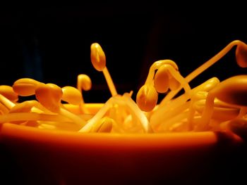 Close-up of candies against orange background