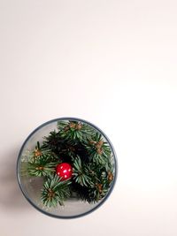 Close-up of red fruit over white background
