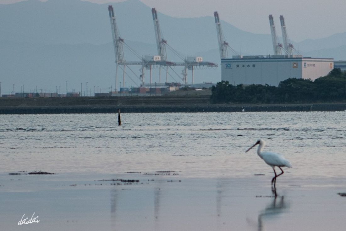 BIRD PERCHING ON RIVER AGAINST SKY