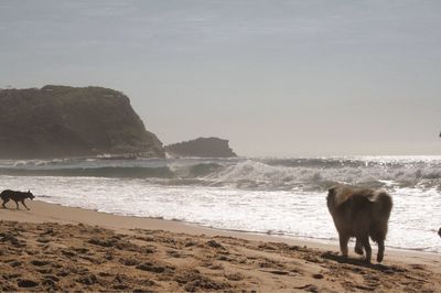 View of a beach