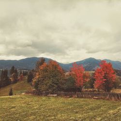 Scenic view of grassy field against cloudy sky