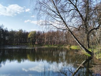 Reflection of bare trees in lake against sky