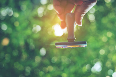 Close-up of hand holding rubber stamp against trees