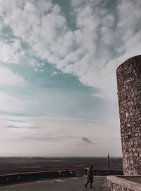 View of horse on land against sky