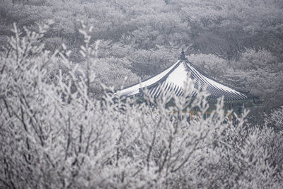 Scenic view of snow covered field