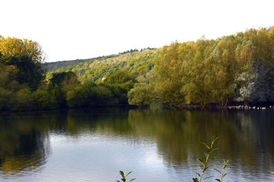 Scenic view of lake by trees against clear sky