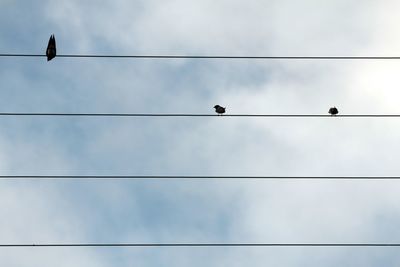 Low angle view of power lines against sky