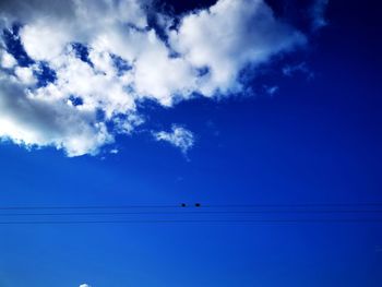 Low angle view of birds flying against blue sky