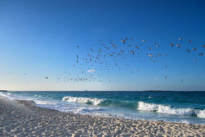Scenic view of sea against clear blue sky