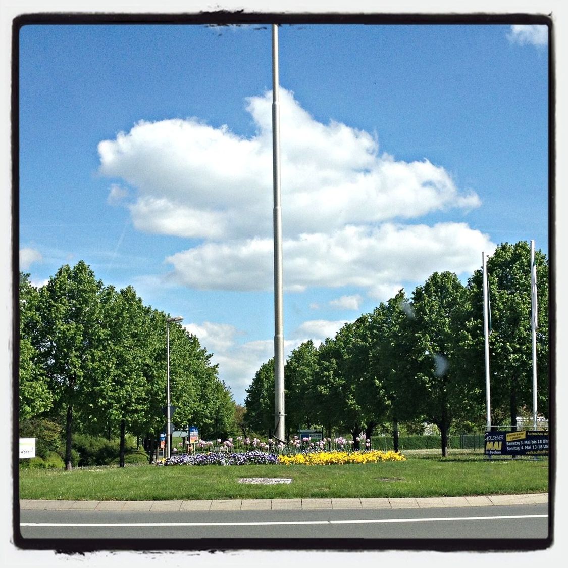 tree, sky, transfer print, grass, blue, street light, green color, cloud, cloud - sky, field, auto post production filter, landscape, road, day, nature, sunlight, growth, tranquility, tranquil scene, outdoors