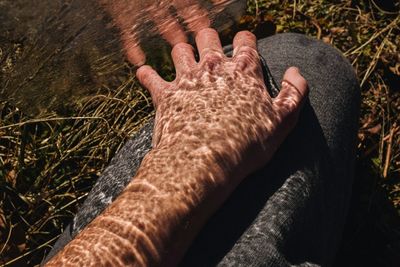 High angle view of person hand by plants