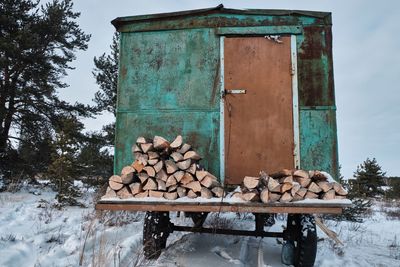 Stack of logs in forest