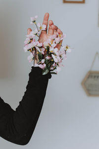 Close-up of hand holding pink flowering plant