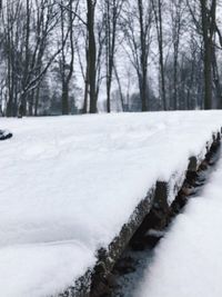 Snow covered land and bare trees during winter