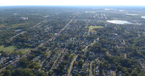 High angle view of trees and buildings in city