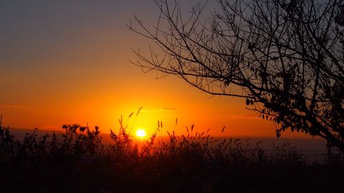 Scenic view of landscape at sunset