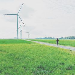 People walking on grassy field