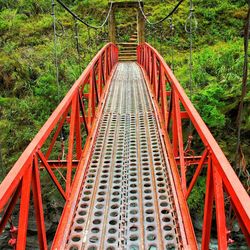 Footbridge against trees