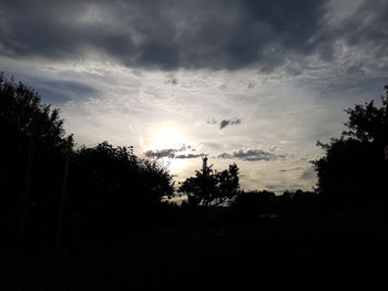 Silhouette of trees against cloudy sky